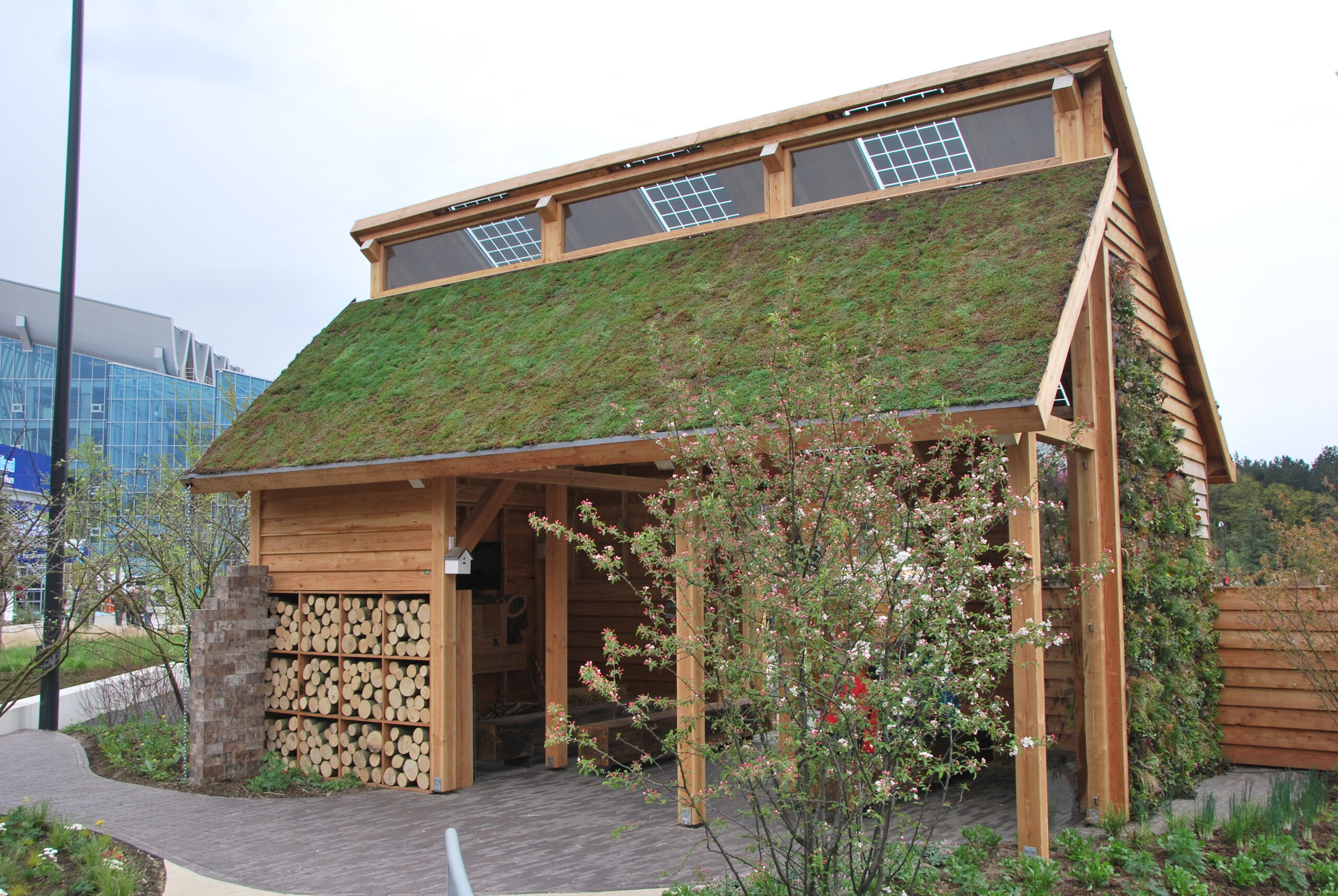 Sempergreen groene daken (4)