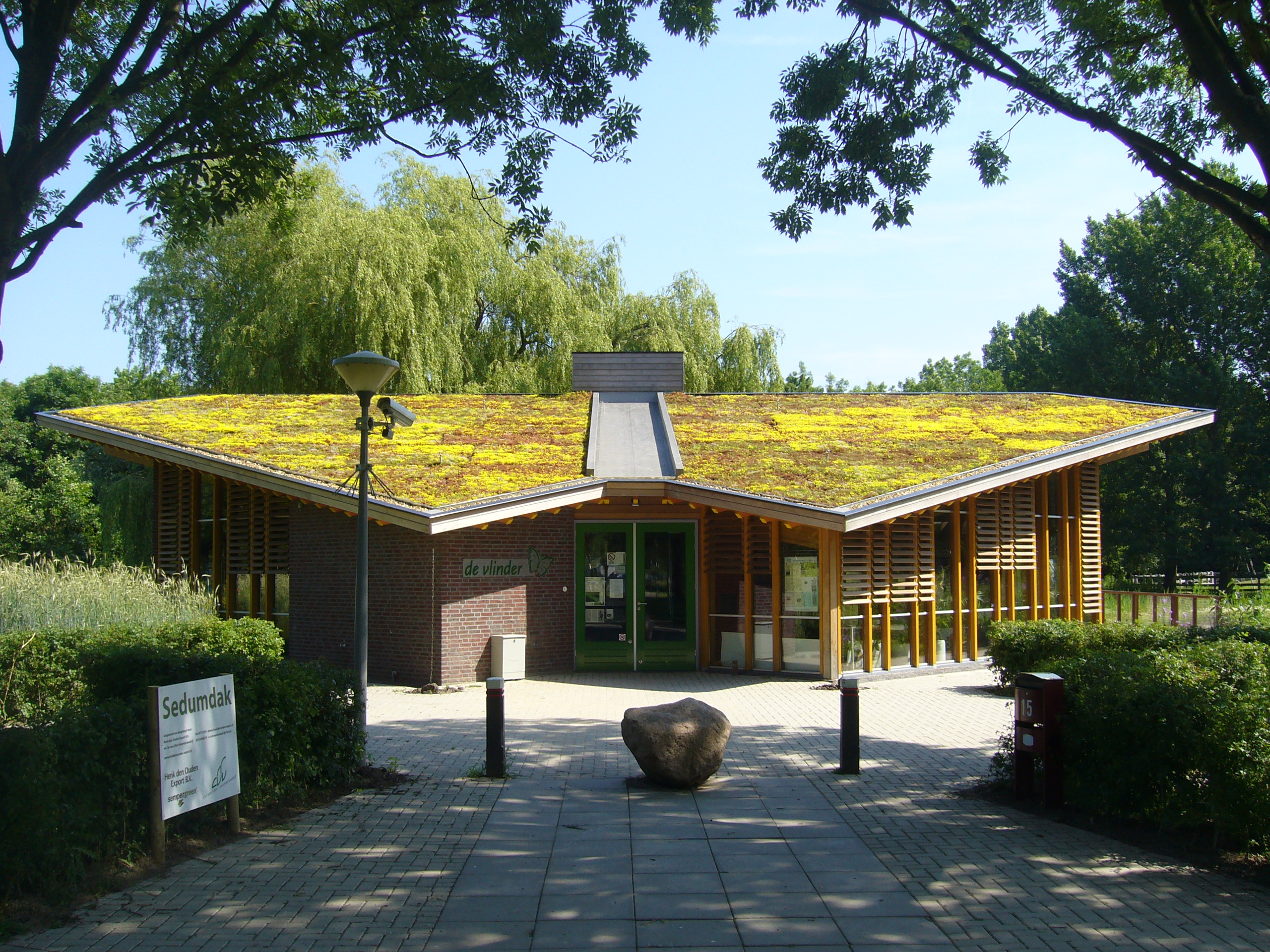 Sempergreen groene daken (5)