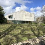 Waarom een groendak een slimme keuze is voor jouw woning of bedrijf